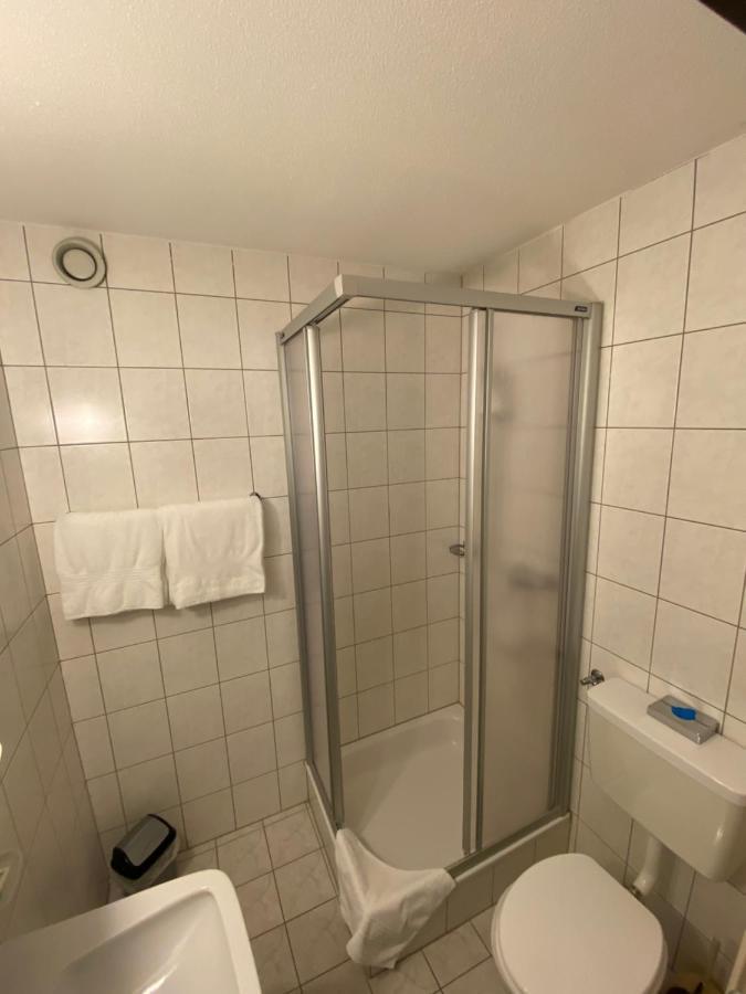 Hotel Lodge Inn Fiesch Dış mekan fotoğraf