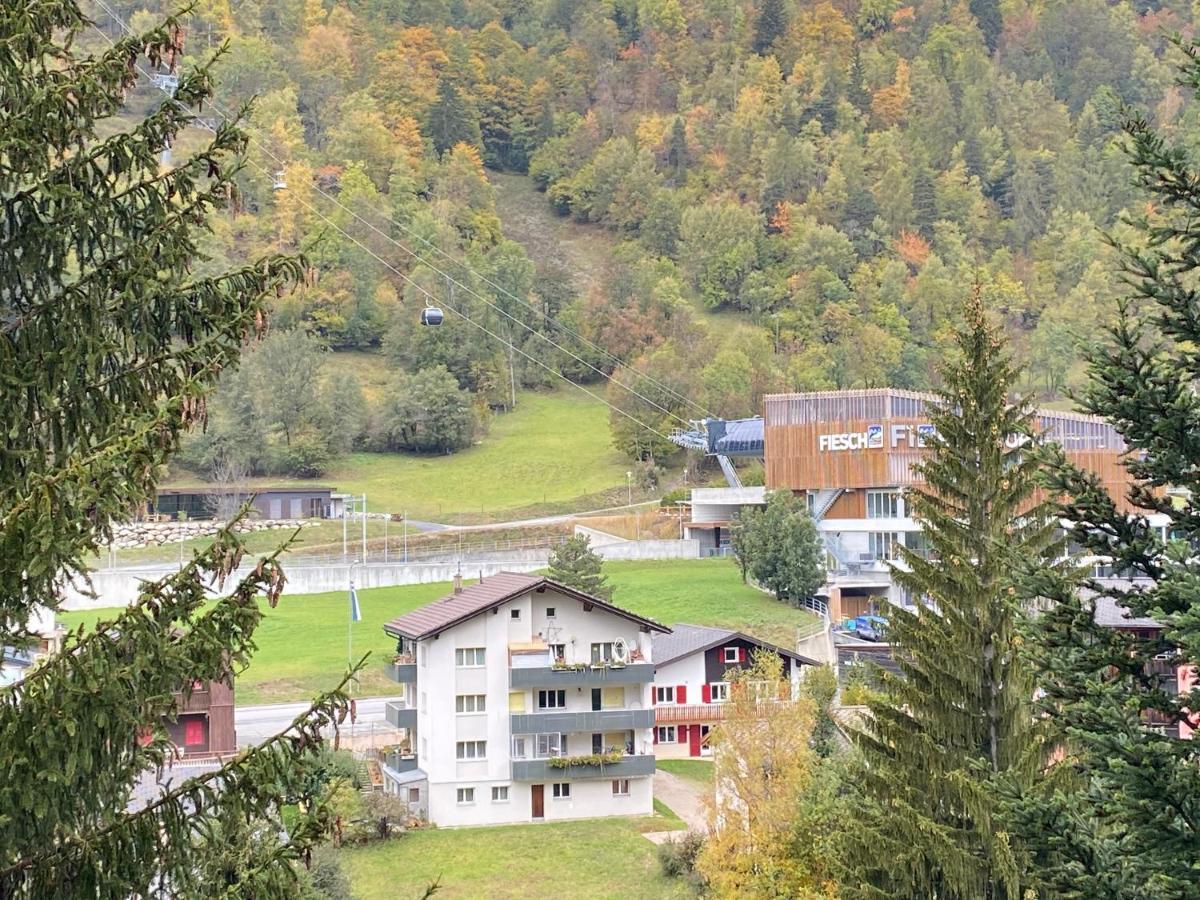Hotel Lodge Inn Fiesch Dış mekan fotoğraf